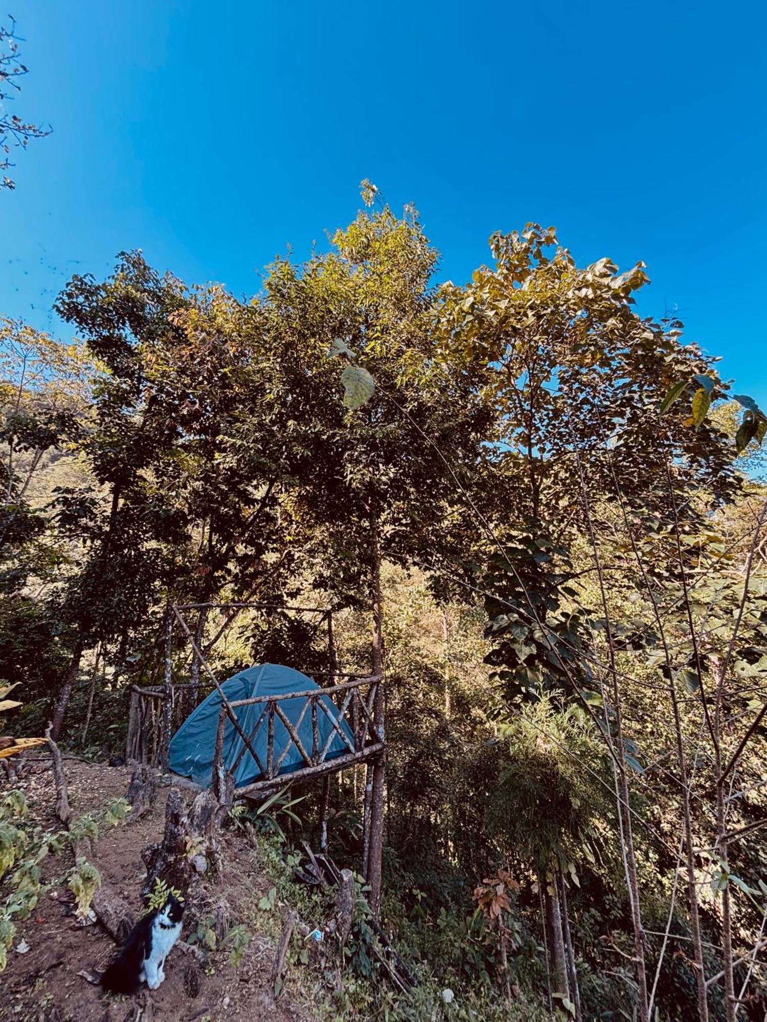 Hosanna Homestay Darjeeling (West Bengal) Exterior foto