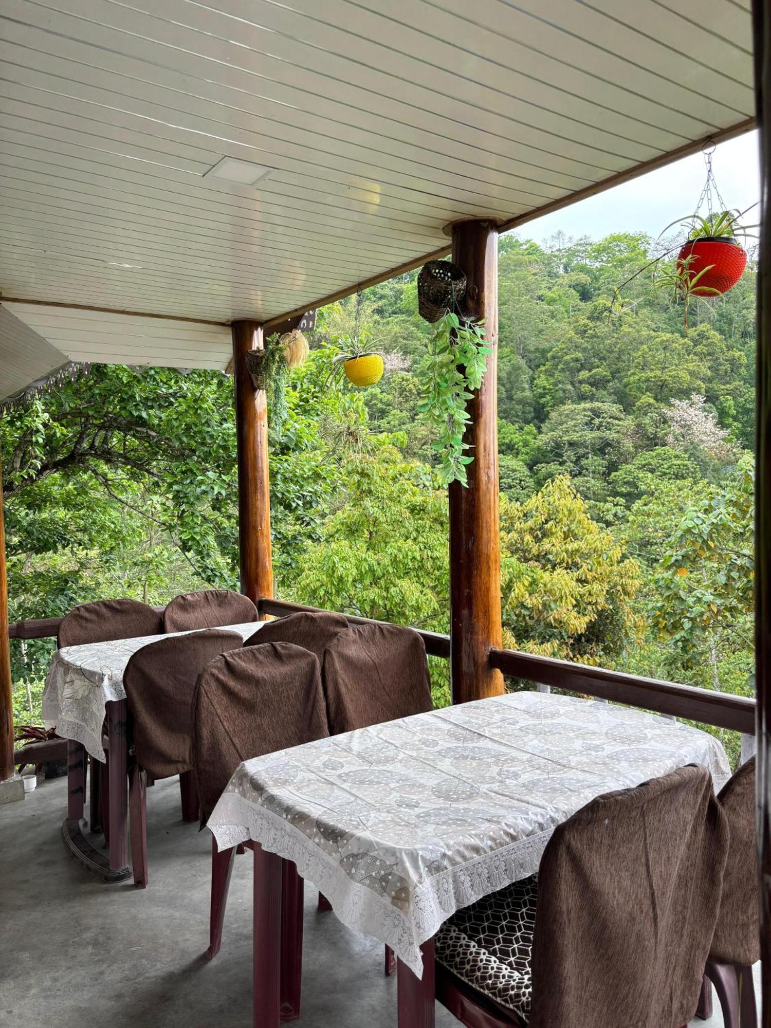 Hosanna Homestay Darjeeling (West Bengal) Exterior foto