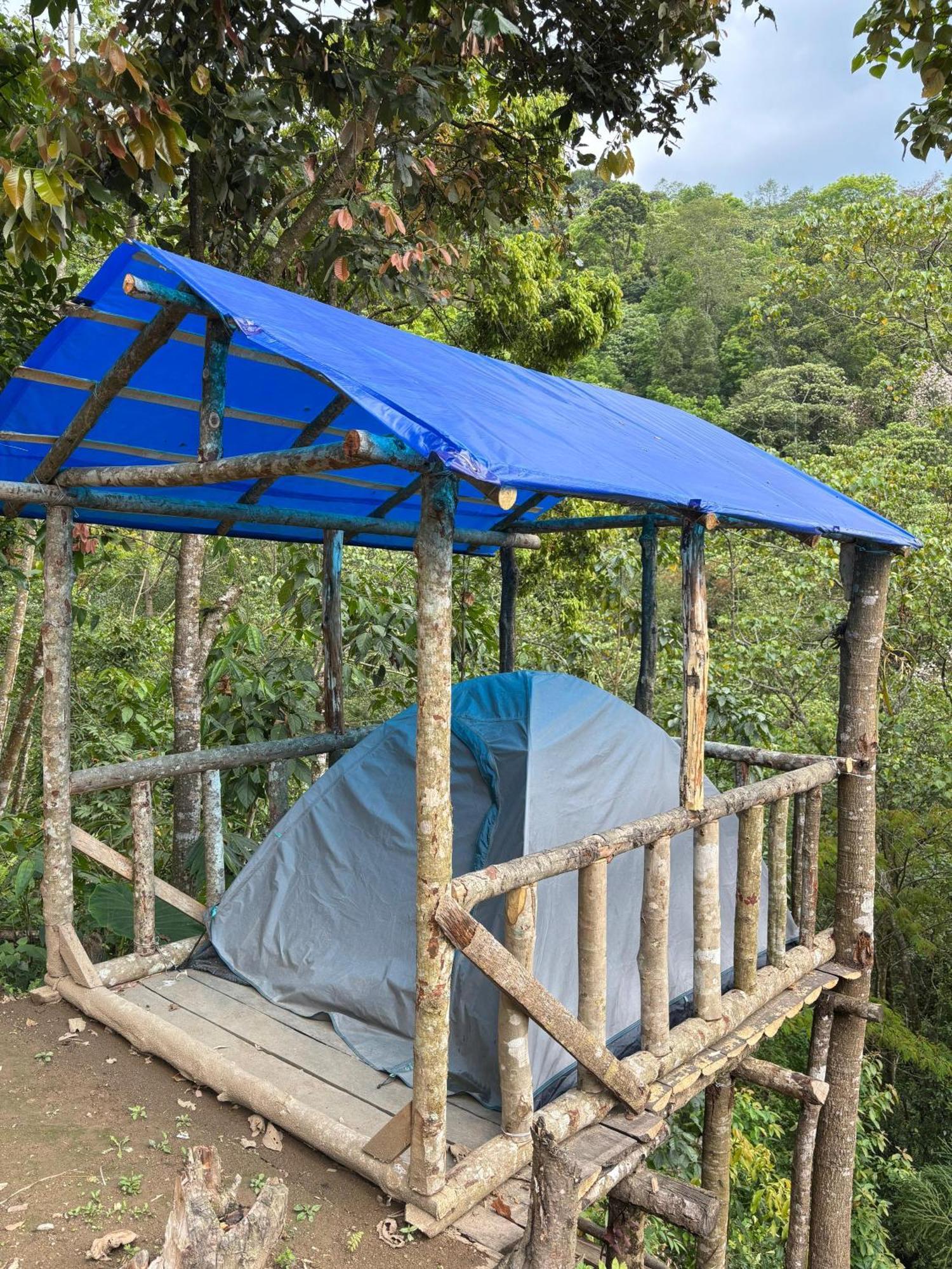 Hosanna Homestay Darjeeling (West Bengal) Exterior foto
